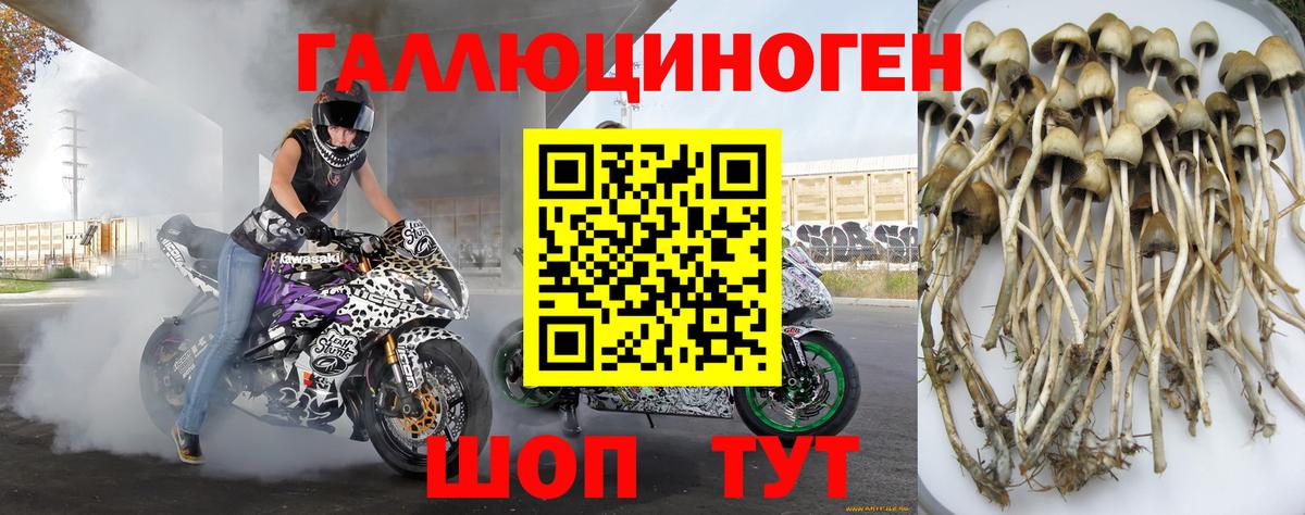 Нарткала  Псилоцибиновые грибы мицелий  Вход с VPN 