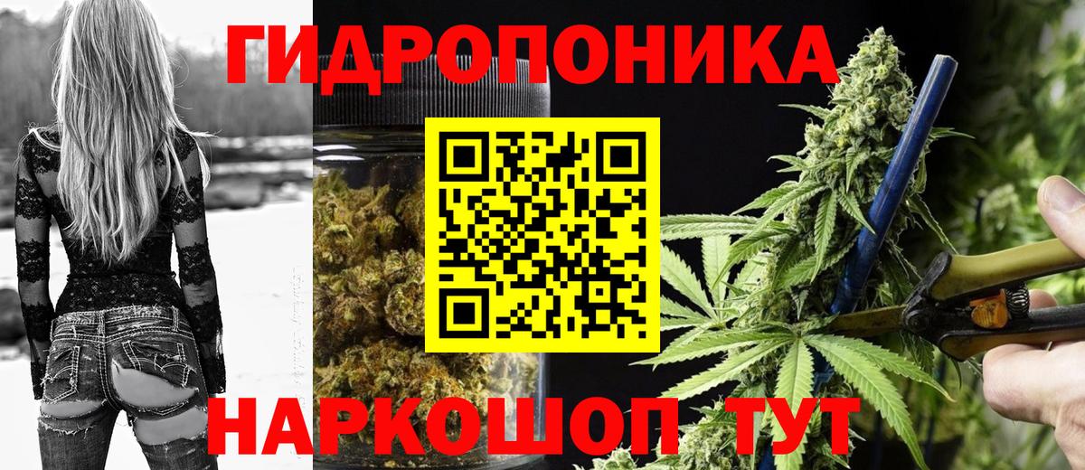 Шишки марихуана White Widow Нарткала